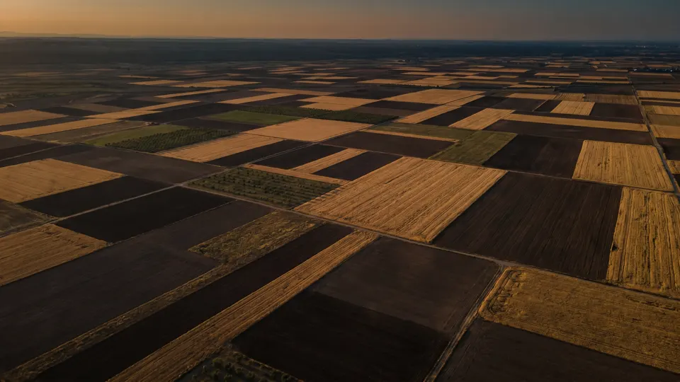 Vista aèria dels camps del Ponent de Lleida al capvespre, formant un mosaic natural de parcel·les daurades i fosques